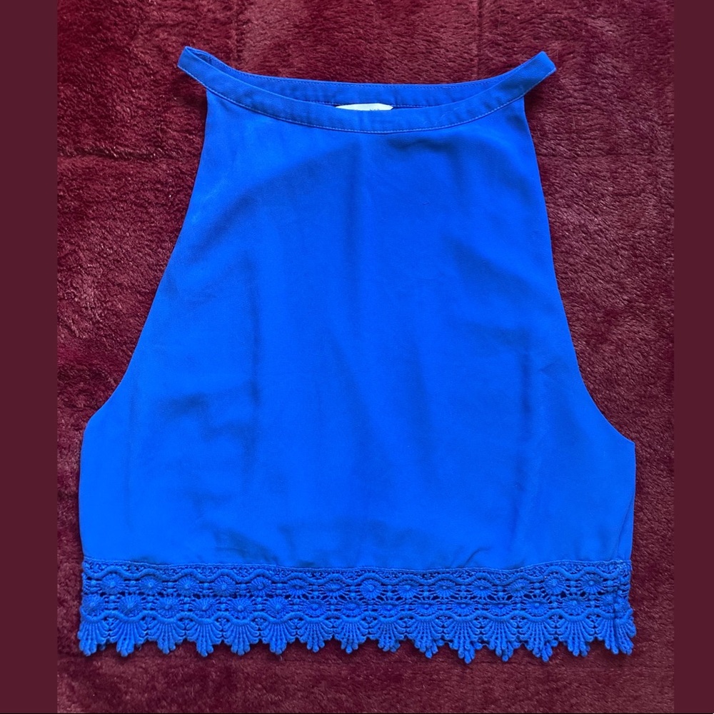 Blue Sleeveless Crop Top